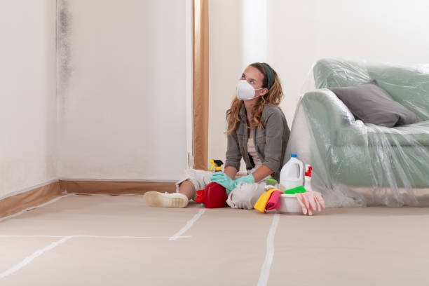 Reliable Black Mold Removal contractor in Newton Upper Falls, MA by WQB Mold Removal
